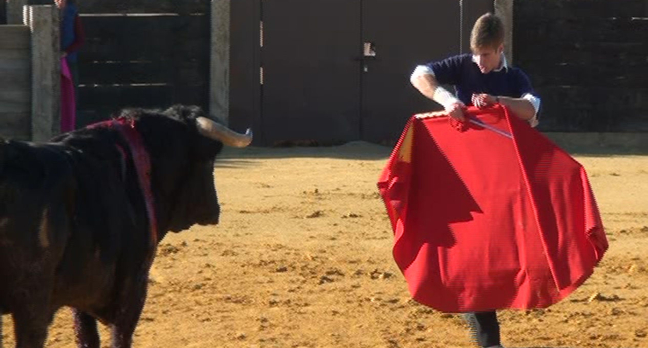 Toros desde La Petatera